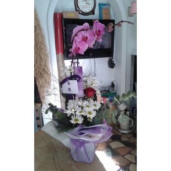 Orkidem